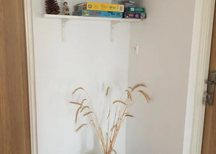 Lebska 24 民宿 莱鲍